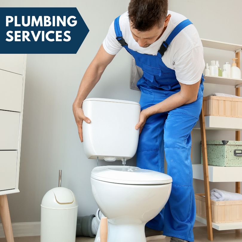 Plumbing Company in Topinabee, MI